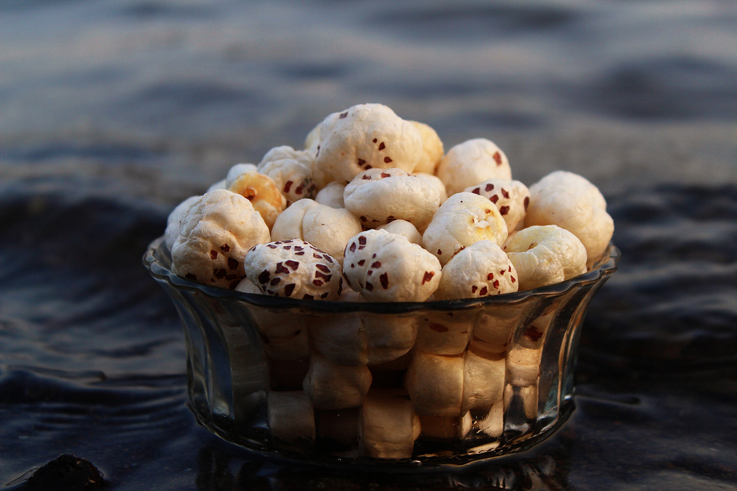 Makhana / Fox Nut 🦊🦊